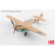 Hobbymaster 5511 1/72 P-40N Warhawk Geronimo! Lt. Bruce Campbell 45th FS Dec. 1943