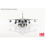Hobbymaster 6719 1/72 Tornado GR.1 ZA585 No. 617 Sqn. Dambusters RAF