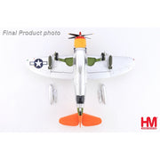 Hobby Master 8414 1/48 P-47D Thunderbolt Tarheel Hal Lt. Ike David 366 FS 358 FG May 1945