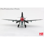 Hobby Master 1/48 BF 109G-6 Capt. Constantin Cantacuzino W.Nr.166133 Italy 27 August 1944