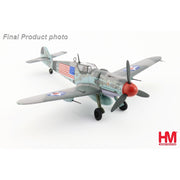 Hobby Master 1/48 BF 109G-6 Capt. Constantin Cantacuzino W.Nr.166133 Italy 27 August 1944