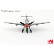 Hobby Master 1/48 BF 109G-6 Capt. Constantin Cantacuzino W.Nr.166133 Italy 27 August 1944