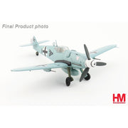 Hobby Master 1/48 BF 109G-5 Walter Dahl W.Nr.27112 3./JG 54 Russia December 1943