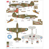 Hobby Master 9207 1/48 Hawk 81-A2 AVG No.77 flown by Robert Smith 3rd Pursuit Sqn. Nov 1941