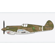Hobby Master HA9209 1/48 Hawk 81A-2 AVG No.21 1st Pursuit Sqn. 1942