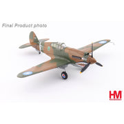 Hobby Master HA9209 1/48 Hawk 81A-2 AVG No.21 1st Pursuit Sqn. 1942
