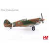 Hobby Master HA9209 1/48 Hawk 81A-2 AVG No.21 1st Pursuit Sqn. 1942