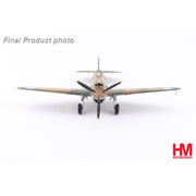 Hobby Master HA9209 1/48 Hawk 81A-2 AVG No.21 1st Pursuit Sqn. 1942