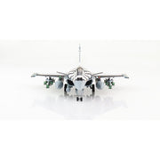 Hobby Master HA9601 1/72 Rafale C 118-EF Armee de Lair NATO Tiger Meet 2012