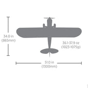 Hobbyzone Carbon Cub S2 1.3m Cleetus McFarland Special Edition RTF Mode 2 HBZ32001SE