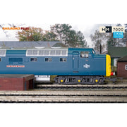 Hornby R30049TXS OO BR Class 55 Deltic Co-Co 55013 The Black Watch TXS DCC Sound