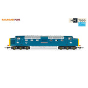 Hornby R30049TXS OO BR Class 55 Deltic Co-Co 55013 The Black Watch TXS DCC Sound