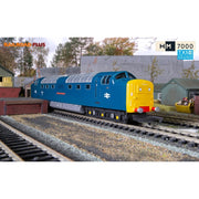 Hornby R30049TXS OO BR Class 55 Deltic Co-Co 55013 The Black Watch TXS DCC Sound