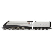 Hornby R30456 OO Dublo LNER Class A4 4-6-2 2509 Silver Link 90th Anniversary Collection