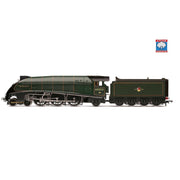 Hornby R30552SS OO BR Class A4 'Seagull' 60033 Steam Locomotive With Steam Generator