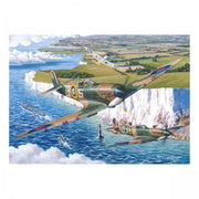 House of Puzzles The Final Few 500pc Jigsaw Puzzle