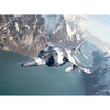 Italeri 1/72 Harrier Gr.3 Winter Camo
