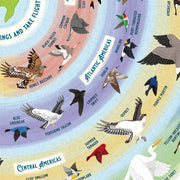 Ridleys Bird Lovers 1000pc Jigsaw Puzzle