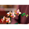 LEGO 10343 Botanicals Mini Orchid