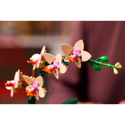LEGO 10343 Botanicals Mini Orchid