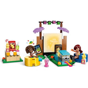 Lego 42642 Friends Friendship Movie Night