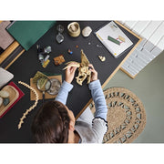 LEGO 76969 Jurassic World Dinosaur Fossils Triceratops Skull