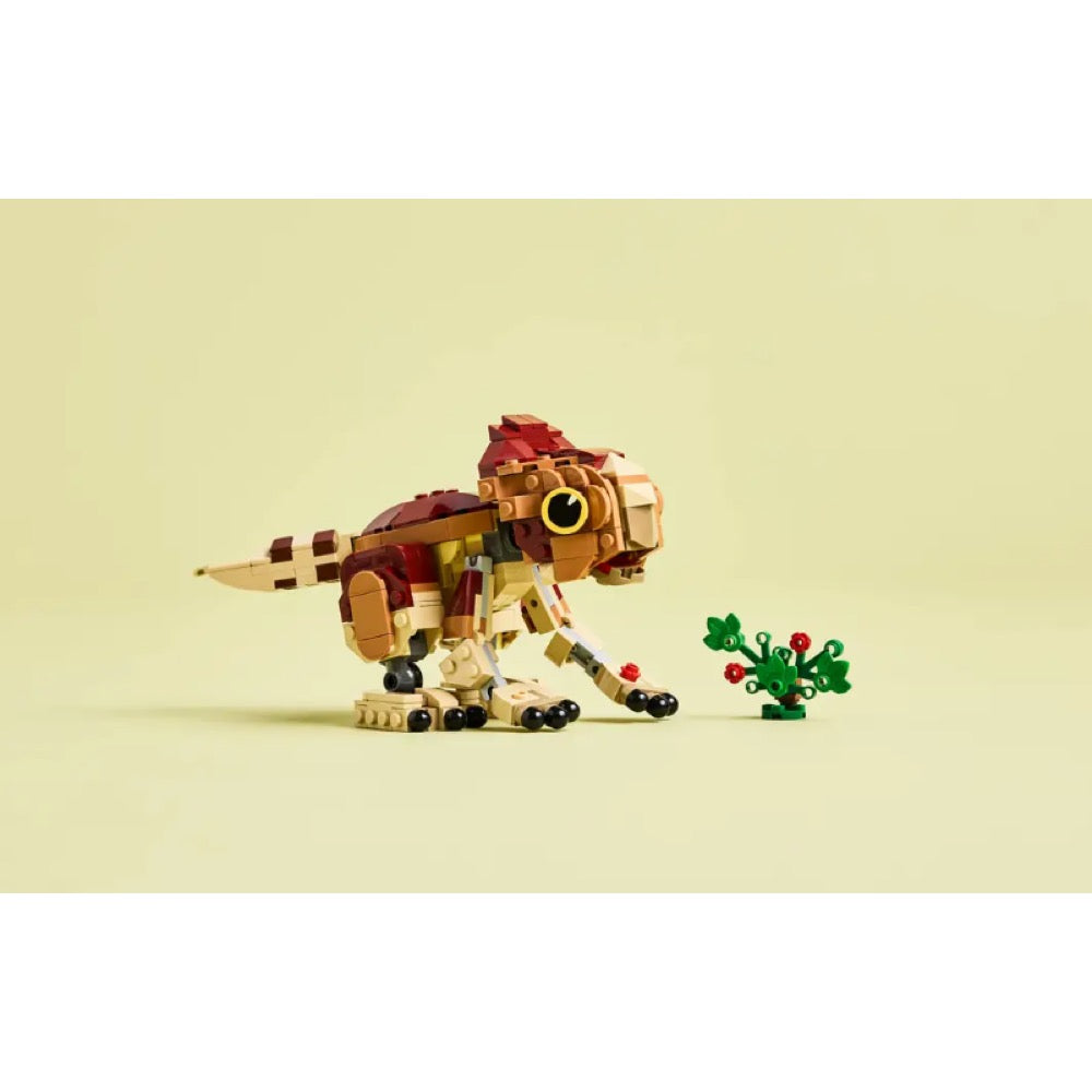 Lego 76970 Jurrasic World Baby Dinosaur Dolores Aquilops