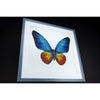 MiniArt Crafts 11017 Blue Butterfly Bead Embroidery Kit