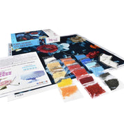 MiniArt Crafts 11024 Poppy Flowers and Wild Roses Bead Embroidery Kit