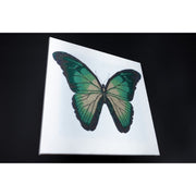 MiniArt Crafts 11033 Turquoise Butterfly Bead Embroidery Kit