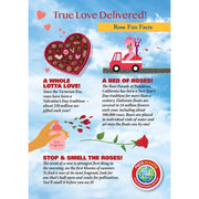 Madd Capp 1100 Rose 20pc Jigsaw Puzzle Greeting Card
