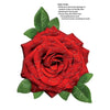 Madd Capp 1100 Rose 20pc Jigsaw Puzzle Greeting Card