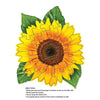 Madd Capp 1101 Sunflower 20pc Jigsaw Puzzle Greeting Card