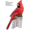 Madd Capp 1104 Cardinal 20pc Jigsaw Puzzle Greeting Card