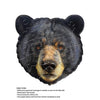 Madd Capp 1106 Bear 20pc Jigsaw Puzzle Greeting Card