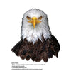 Madd Capp 1108 Eagle 20pc Jigsaw Puzzle Greeting Card
