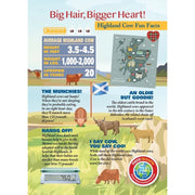 Madd Capp 1109 Highland Cow 20pc Jigsaw Puzzle Greeting Card