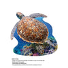 Madd Capp 1110 Sea Turtle 20pc Jigsaw Puzzle Greeting Card