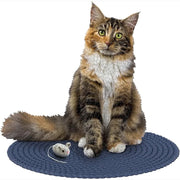 Madd Capp 3020 I Am Cat 550pc Jigsaw Puzzle