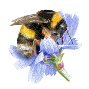 Madd Capp 4023 I Am Lil' Bumble Bee 100pc Jigsaw Puzzle