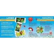 Madd Capp 4024 I Am Lil Ladybug 100pc Jigsaw Puzzle