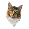 Madd Capp 4403 I Am Cat 24pc Jigsaw Puzzle