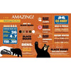 Madd Capp 6010 I Am Bear 300pc Jigsaw Puzzle