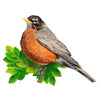 Madd Capp 6023 I Am Robin 300pc Jigsaw Puzzle
