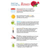 Madd Capp 6034 I Am Rose 300pc Jigsaw Puzzle