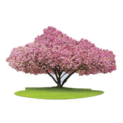 Madd Capp 7009 I Am Cherry Blossom 1000pc Jigsaw Puzzle 051497368081
