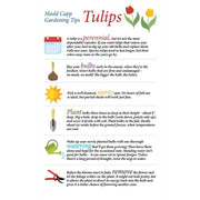 Madd Capp 8005 I Am Tulip 350pc Jigsaw Puzzle 051497283100