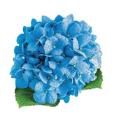 Madd Capp 8010 I Am Hydrangea 350pc Jigsaw Puzzle
