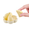 Mega House Garlic Puzzle