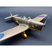 Mikro-Mir 1/32 Miles Magister